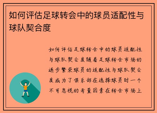 如何评估足球转会中的球员适配性与球队契合度